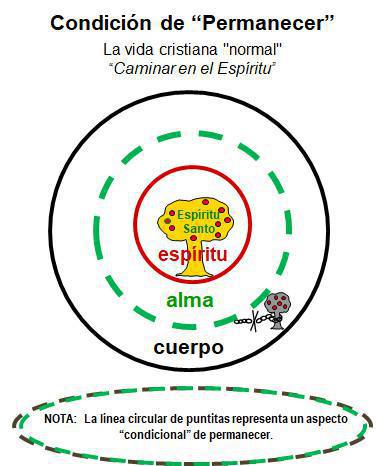 1-13 Las Tres Etapas Principales de la Vida Cristiana Normal 1-13 Las Tres Etapas Principales de la Vida Cristiana Normal
