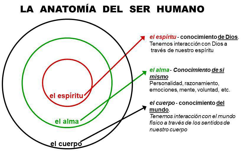 3-1 La Vida Cristiana Resumida