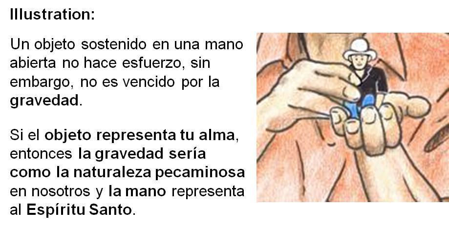 3-10 Un Estudio sobre Juan 15 - La Vid y las Ramas 3-10 Un Estudio sobre Juan 15 - La Vid y las Ramas