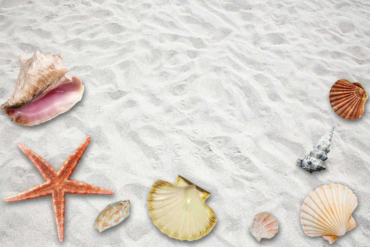 MEMORIA 2020-2021 MEMORIA 2020-2021