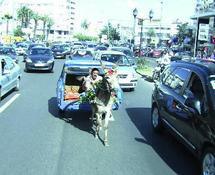 TÉLÉCHARGER FILM KHATAF SAID NACIRI TÉLÉCHARGER FILM KHATAF SAID NACIRI