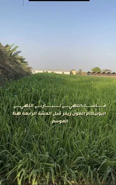 مزرعة الدعية