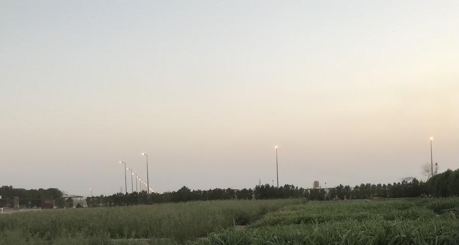 الرحيمية alruhaimiah