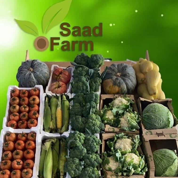 Alsaad Farm