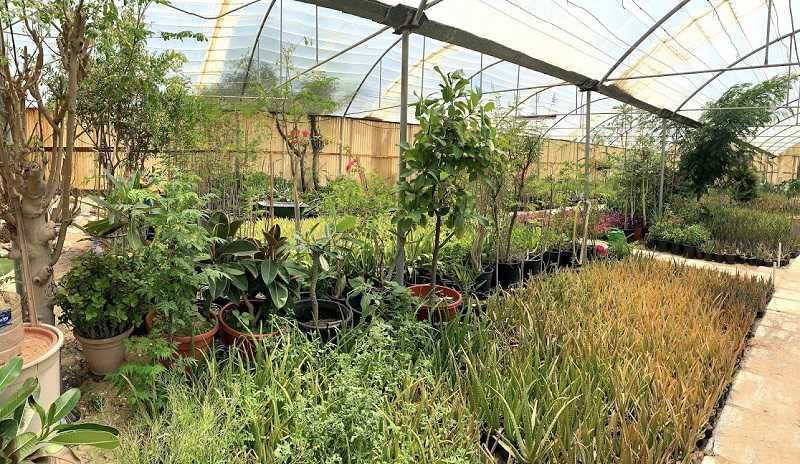 KWT Farm