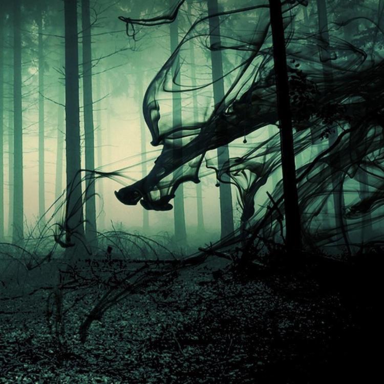 Filipenses e a Justiça Própria 2