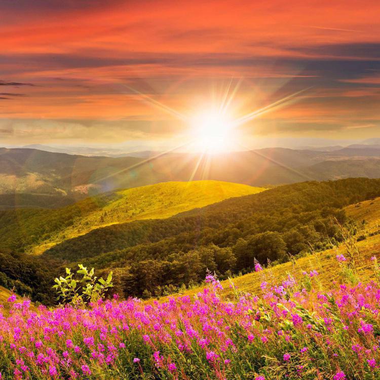 Nova Aliança - Aula 2 - Pr. B