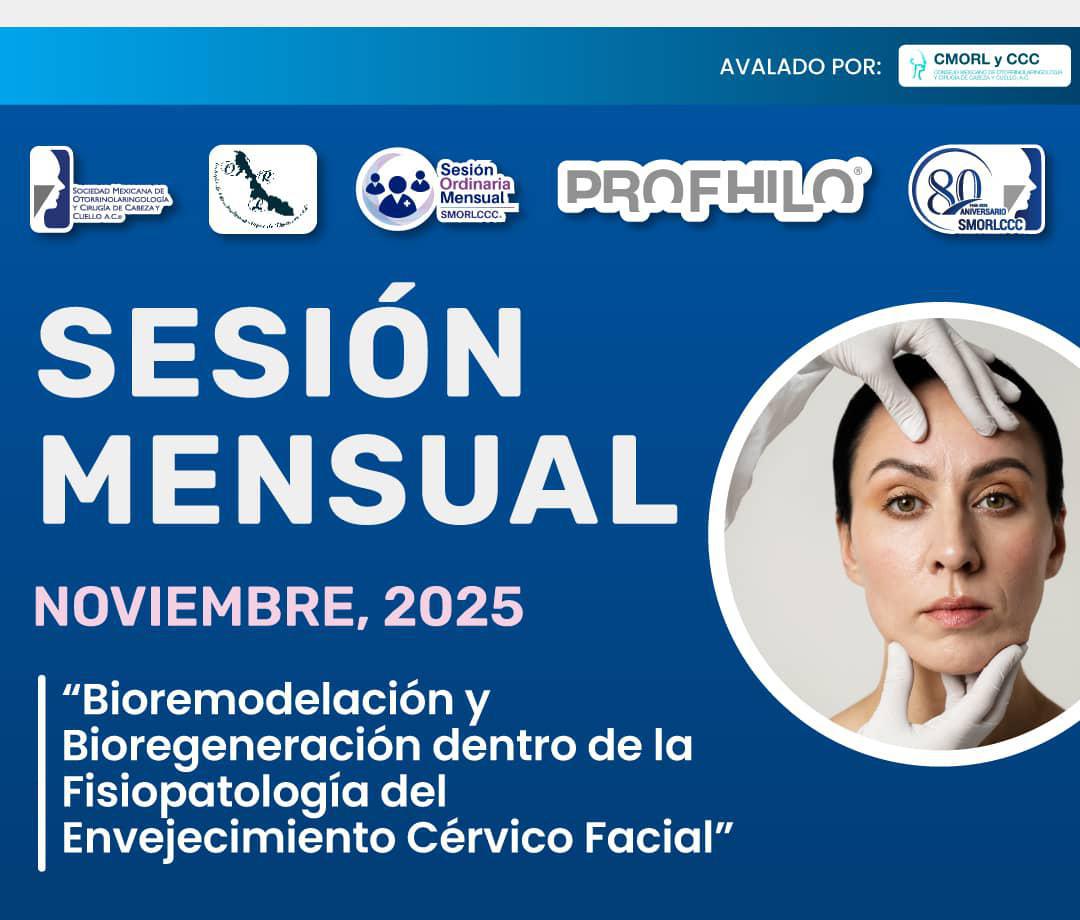 Sesión Ordinaria Mensual Noviembre 2025