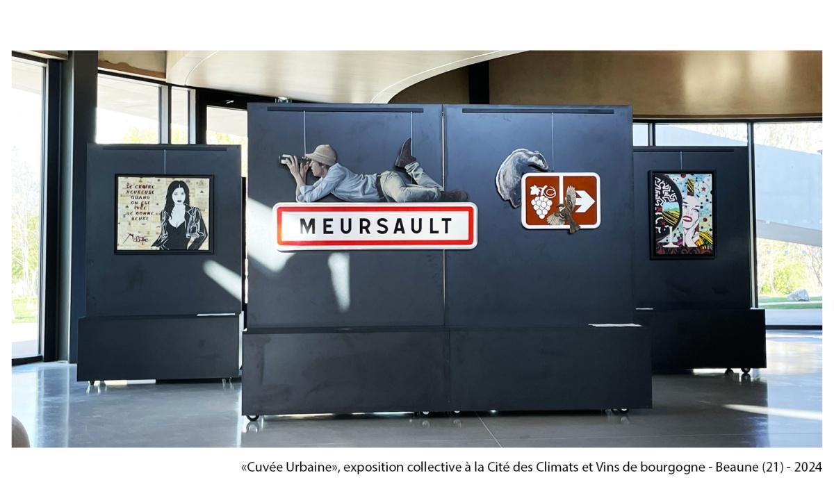 Exposition Art Urbain (Chalon sur Saône-71)