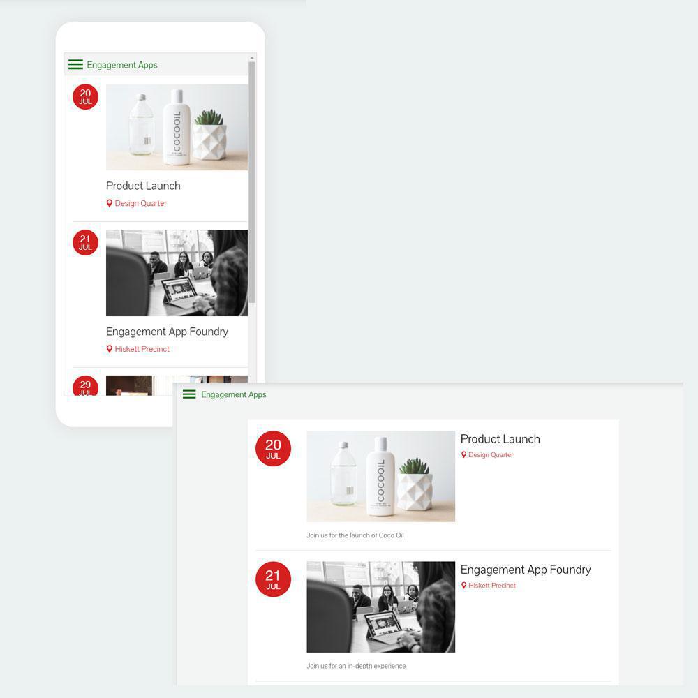 About the Application