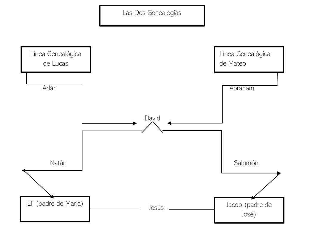 Las 2 genealogías de Cristo  Las 2 genealogías de Cristo