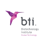 bti