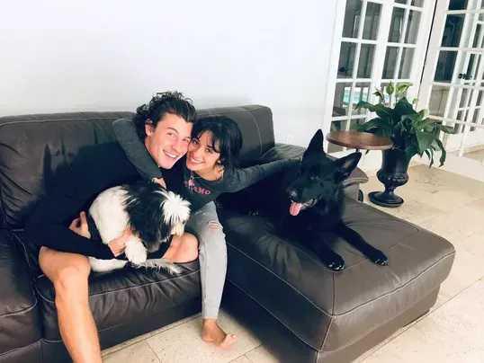 CAMILA CABELLO Y SHAWN MENDES: ¿CÓMO FUE SU HISTORIA DE AMOR?