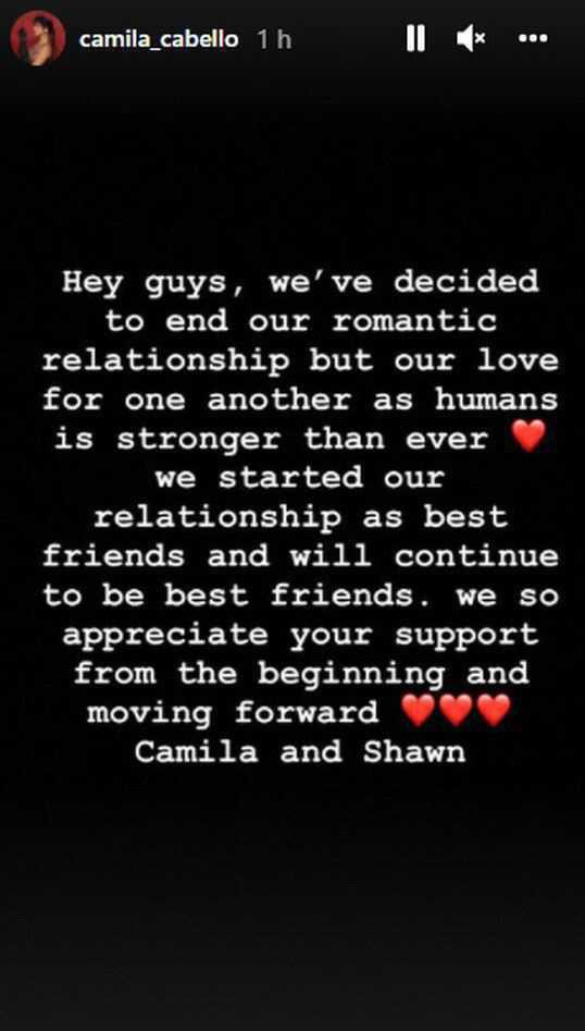 CAMILA CABELLO Y SHAWN MENDES: ¿CÓMO FUE SU HISTORIA DE AMOR?