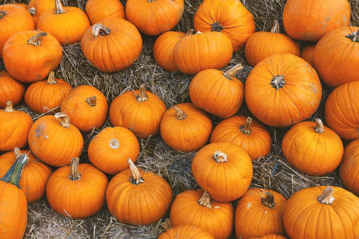A Halloween Guide To River Islands And Lathrop, CA
