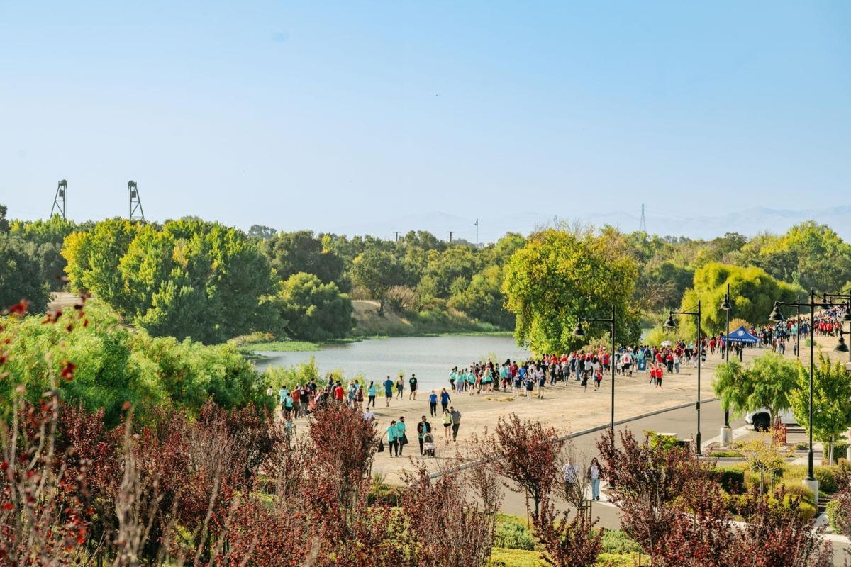 Hope and Heart at River Islands: Highlights from the 209 Heart & Stroke Walk