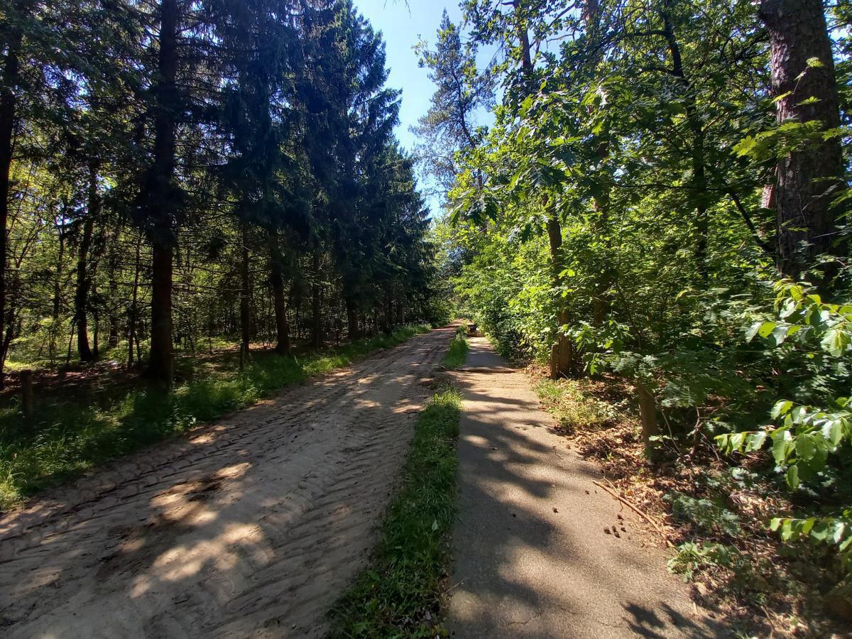 Ekerlaan, Prins Clauslaan en fietspad Molenbeekweg Bennekom