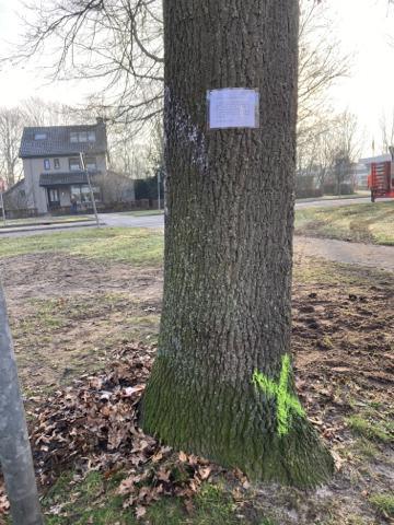 Rotonde Vijverbosweg, gedenktegel Jesse verwijderd