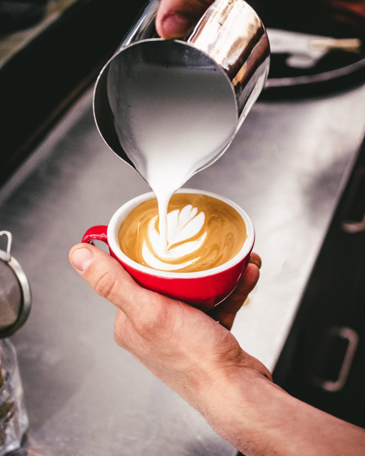 Le Talk Music Café Le Talk Music Café