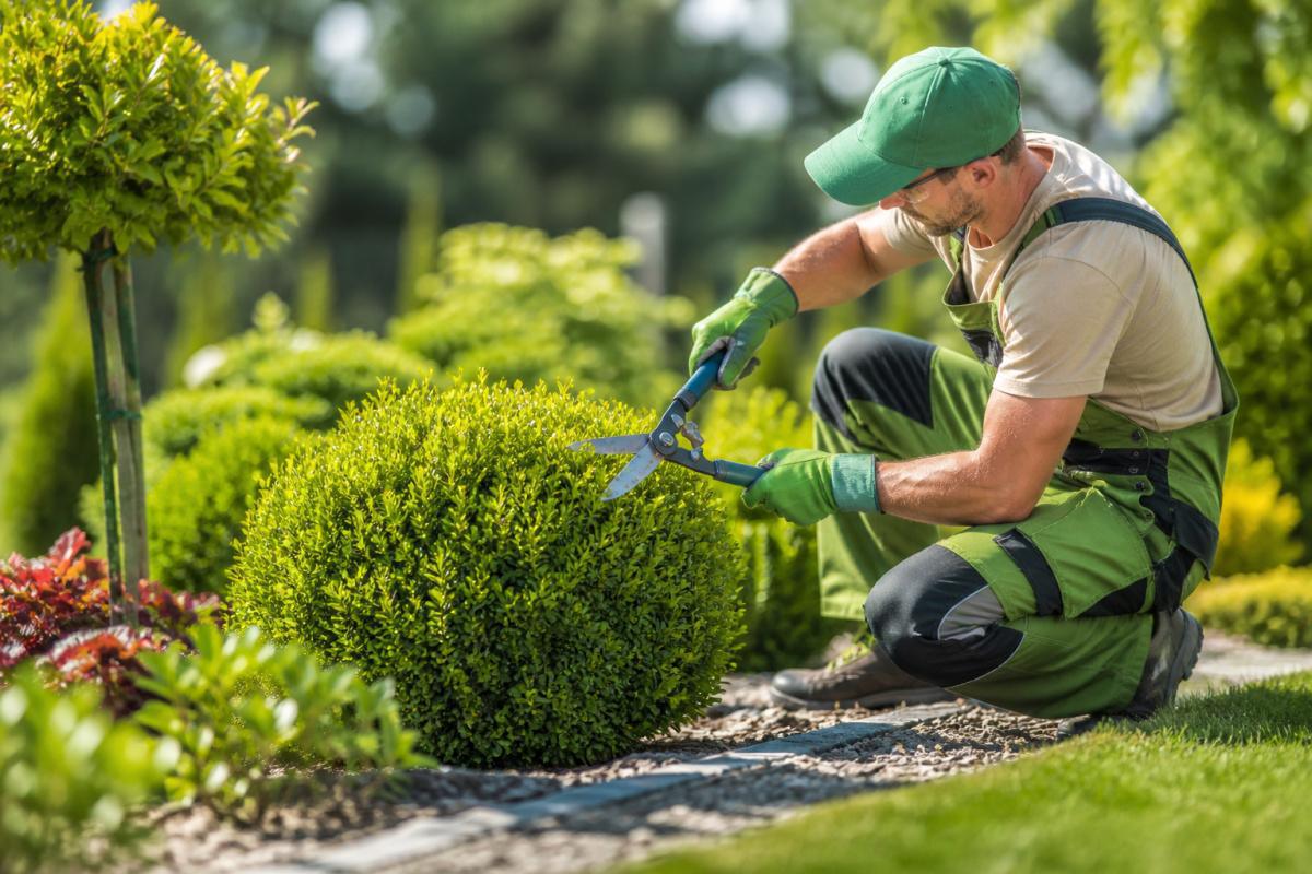 🌿 Offre en alternance – CAP Entretien des Espaces Verts H/F🌿 🌿 Offre en alternance – CAP Entretien des Espaces Verts H/F🌿