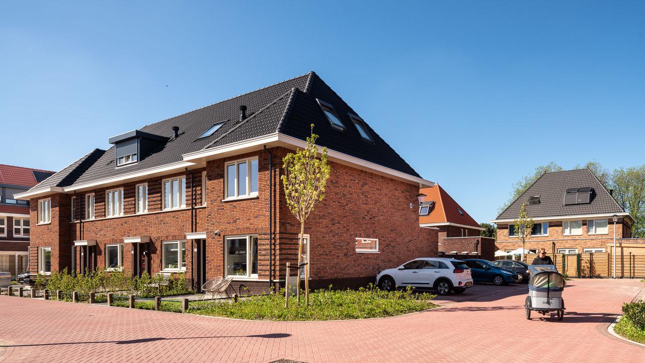 Gouden Harpbuurt | Berkel en Rodenrijs