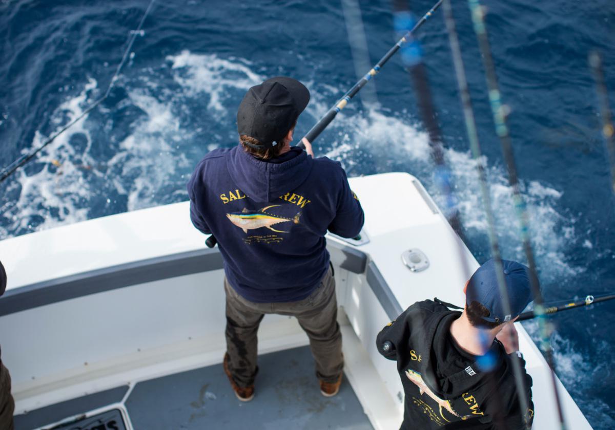 Salty Crew Salty Crew