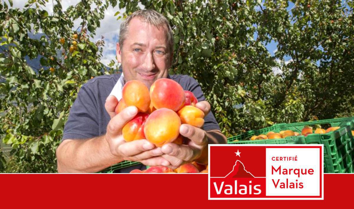 Fabrice Fruits Sàrl Fabrice Fruits Sàrl