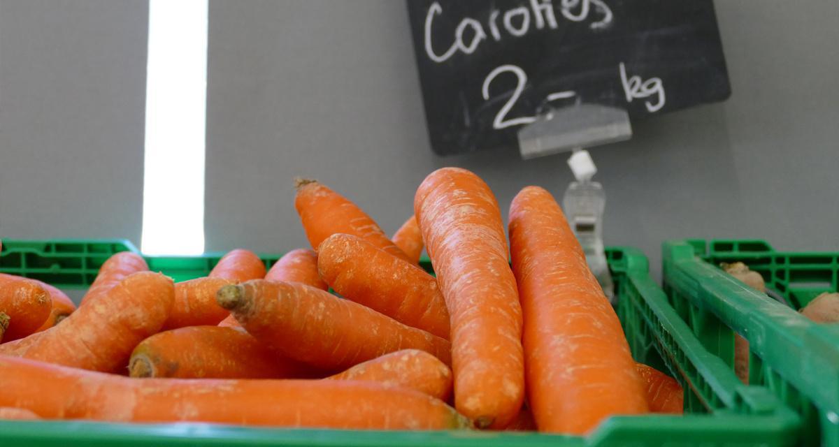 Jardinerie Constantin Jardinerie Constantin