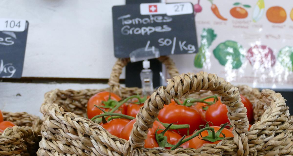 Jardinerie Constantin Jardinerie Constantin