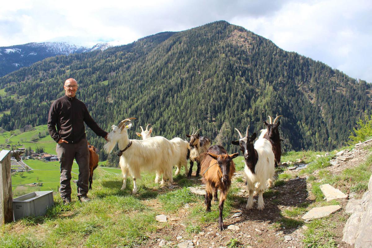 Bruchez Yves Bruchez Yves