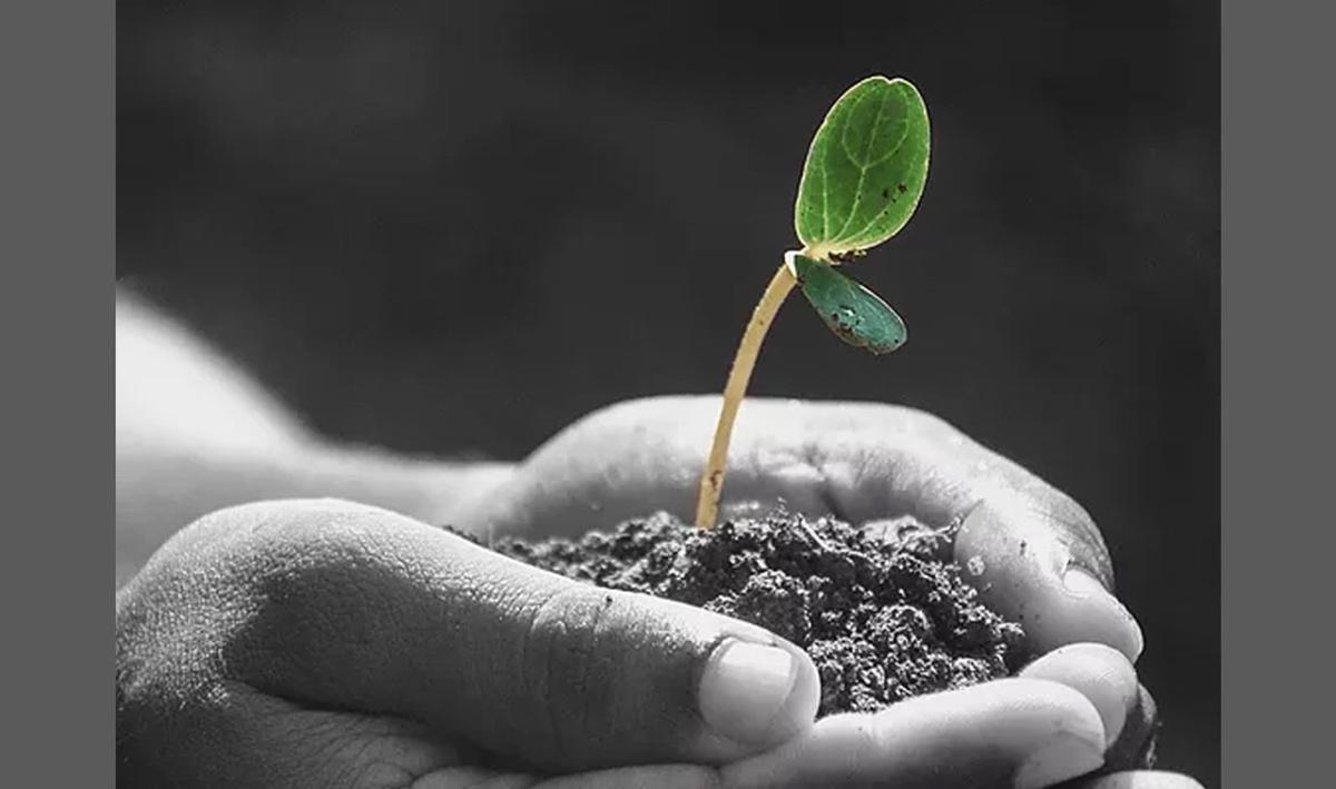 Biosphère Compost Biosphère Compost