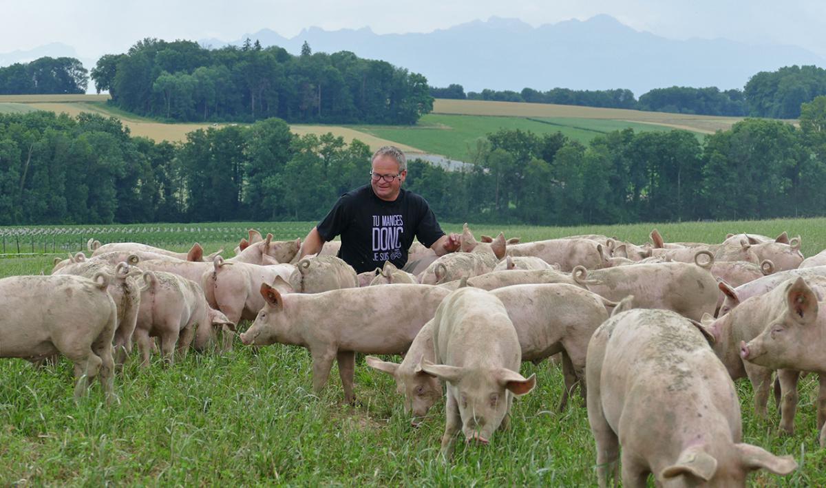 La Ferme en Croix