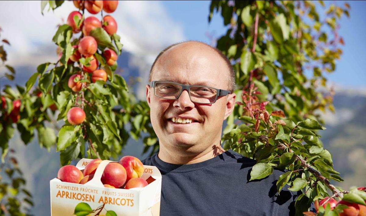 Comby Fruits Sàrl Comby Fruits Sàrl