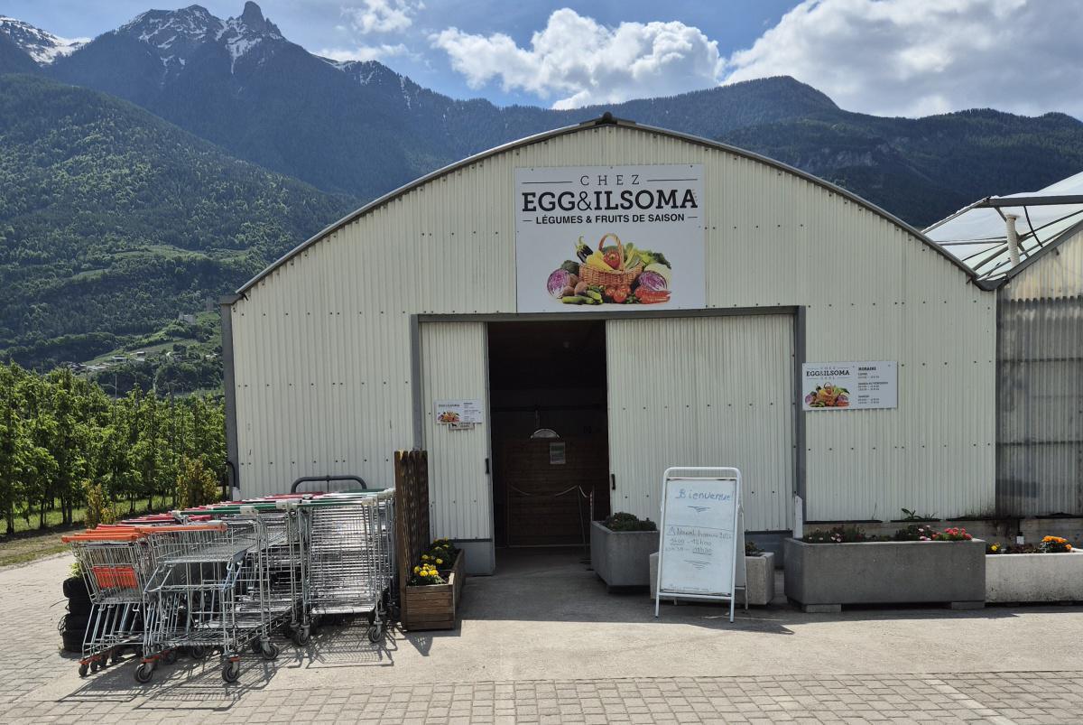 Chez Egg & Ilsoma, Légumes et Fruits de saison Chez Egg & Ilsoma, Légumes et Fruits de saison