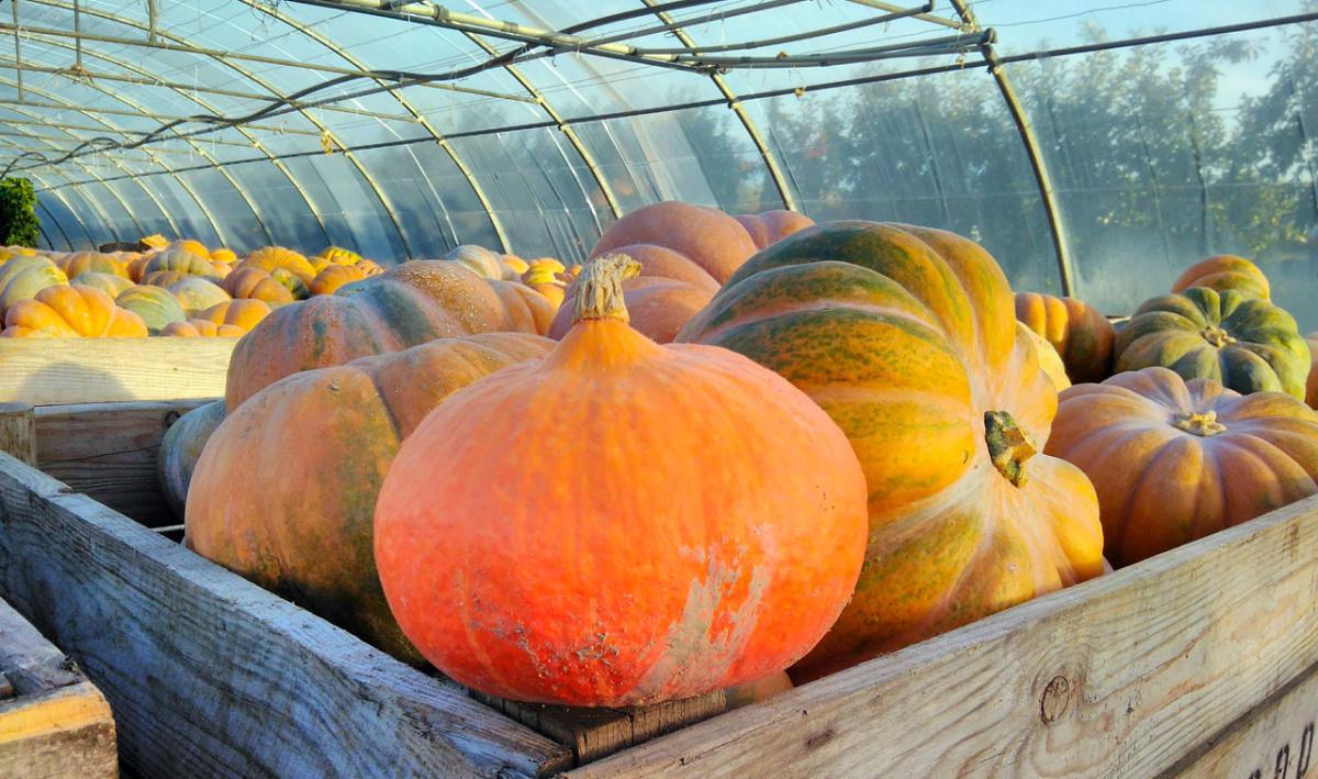 Christian et Steven Blanc Christian et Steven Blanc