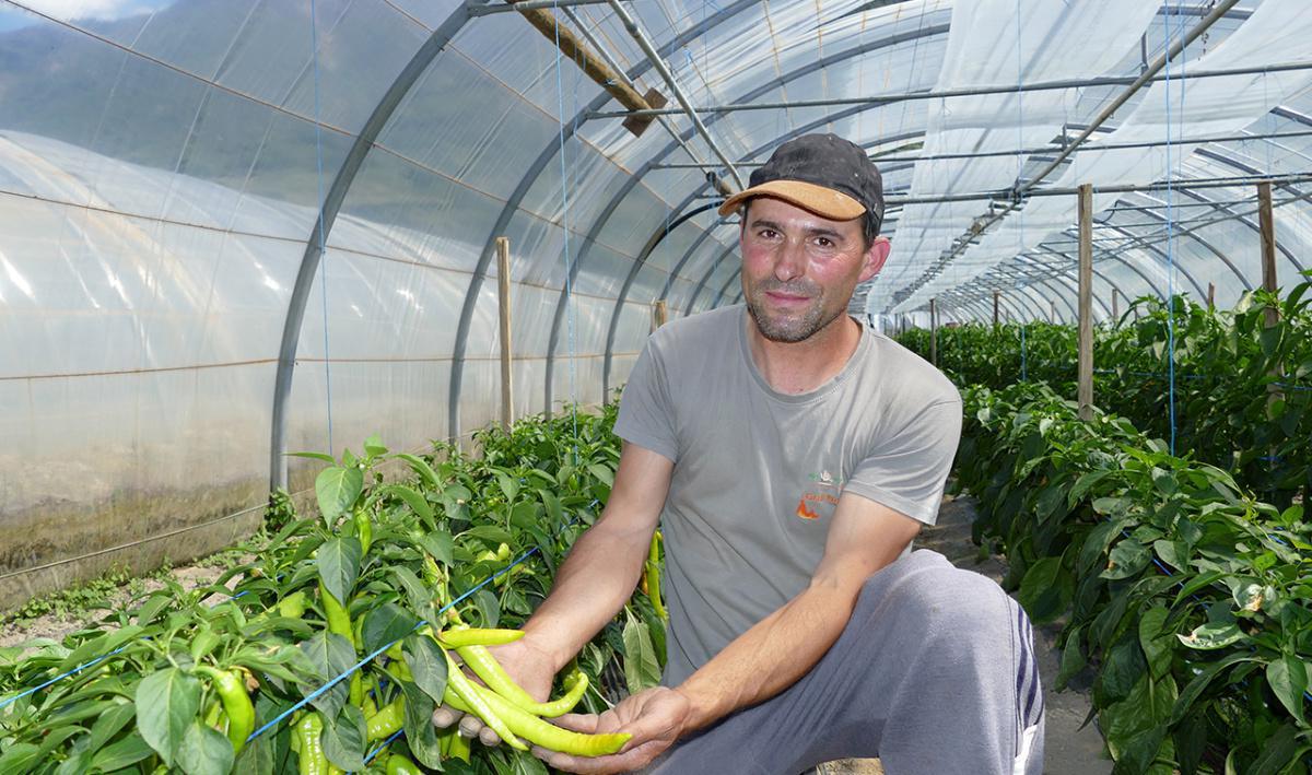 Kiosque de la Vallée - Saxon Kiosque de la Vallée - Saxon