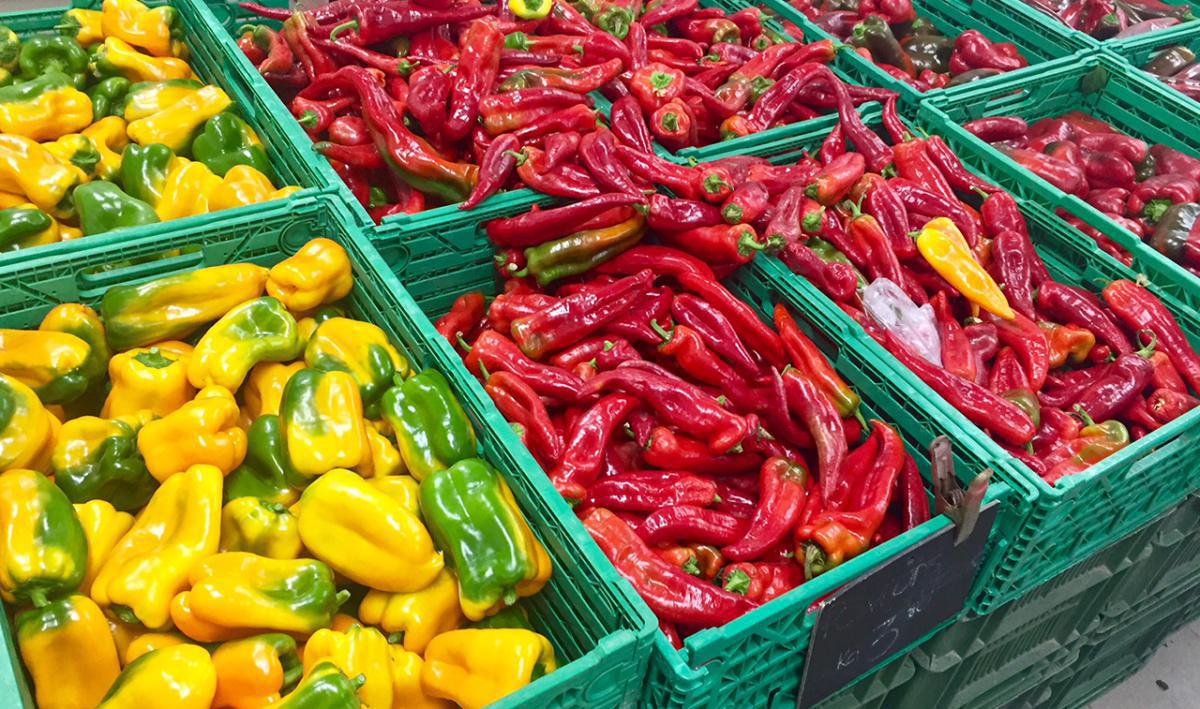 Kiosque de la Vallée - Saxon Kiosque de la Vallée - Saxon