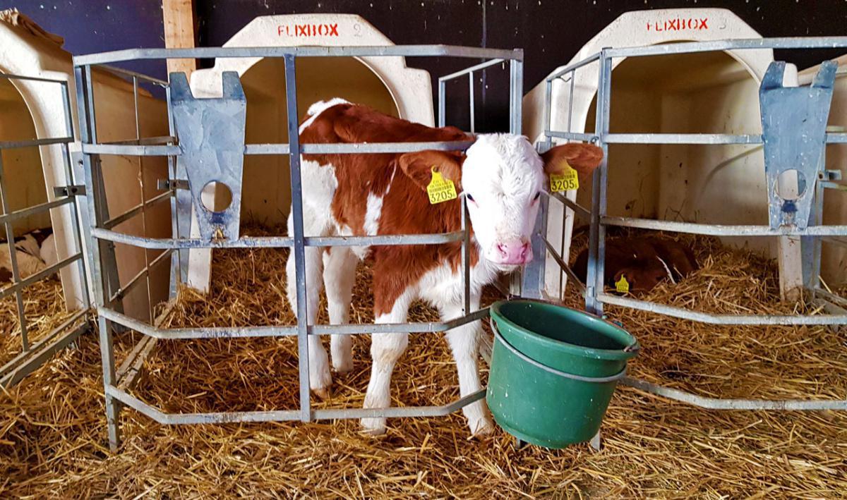 Domaine de Rochebot Famille Miaz Domaine de Rochebot Famille Miaz