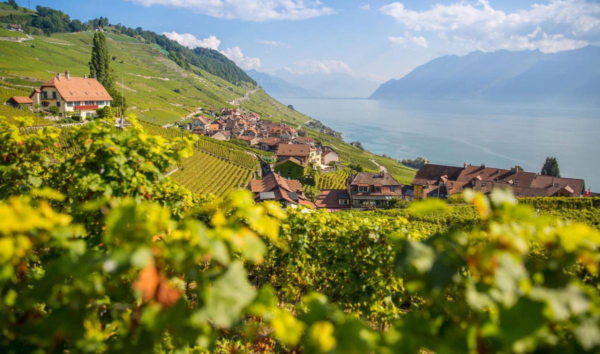 Caves Ouvertes Vaudoises 2020