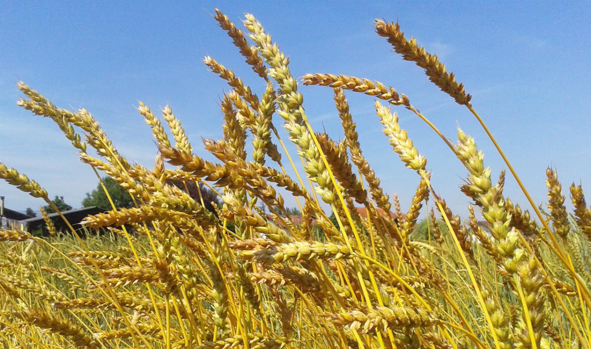 Ferme des Terres Rouges Ferme des Terres Rouges