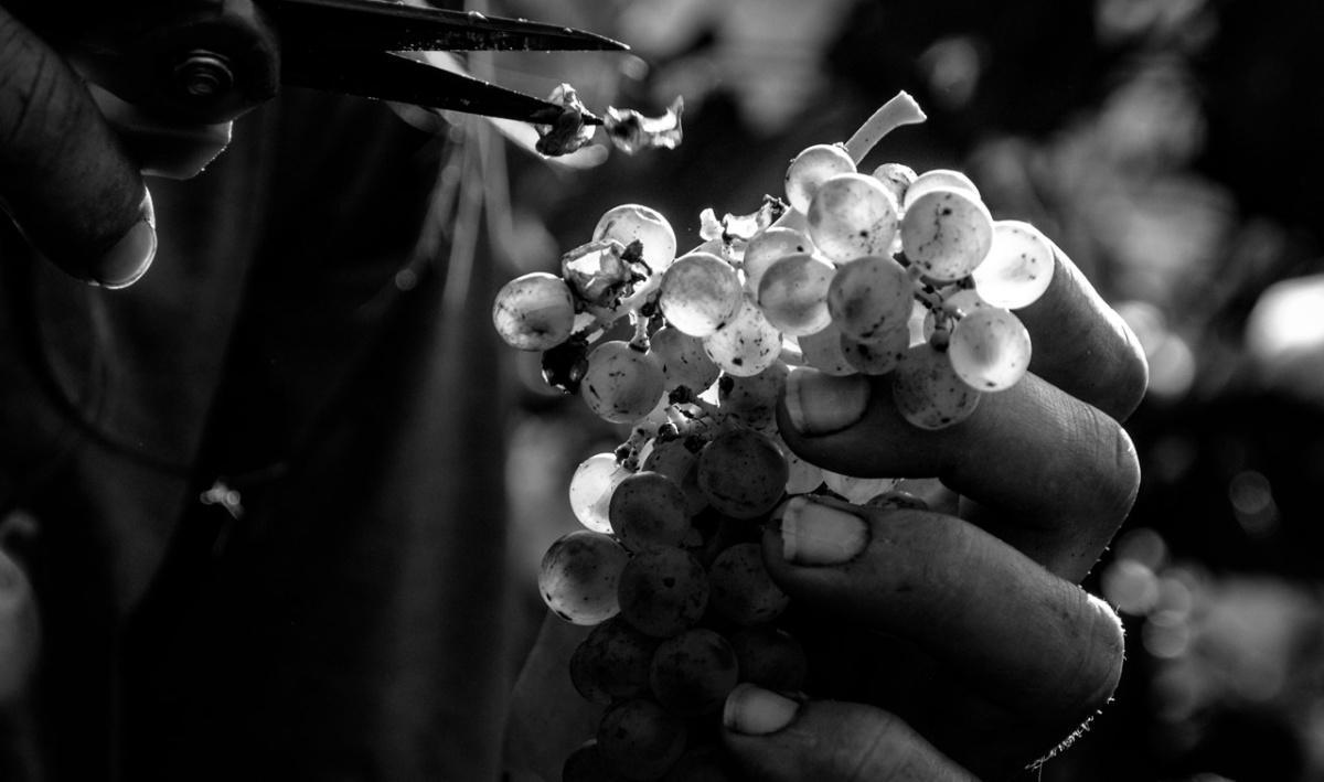 Cave de L'Orlaya Cave de L'Orlaya