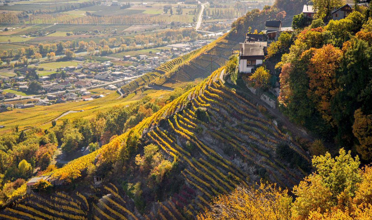 Cave du Chavalard Cave du Chavalard