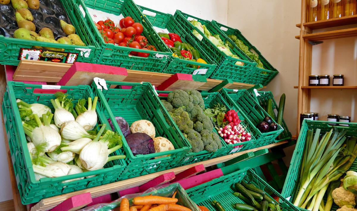 Bolay-Charolais Bolay-Charolais