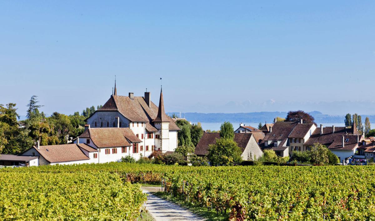 Caves du Château d'Auvernier Caves du Château d'Auvernier