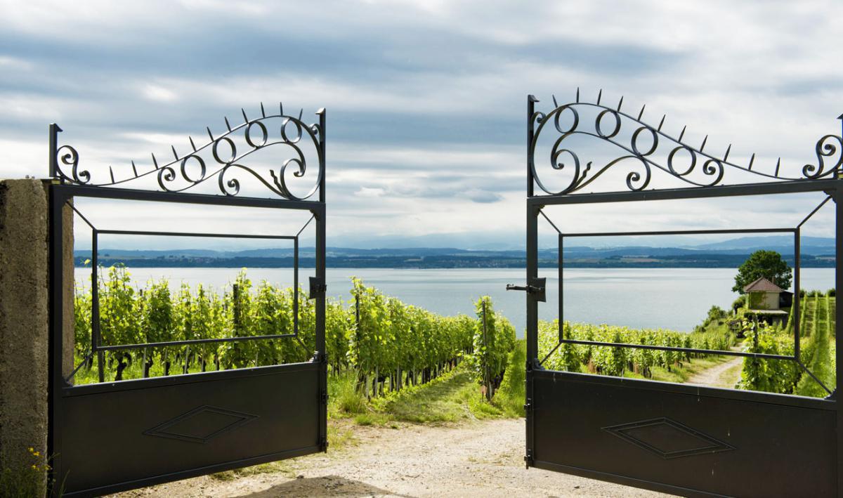 Caves du Château d'Auvernier Caves du Château d'Auvernier