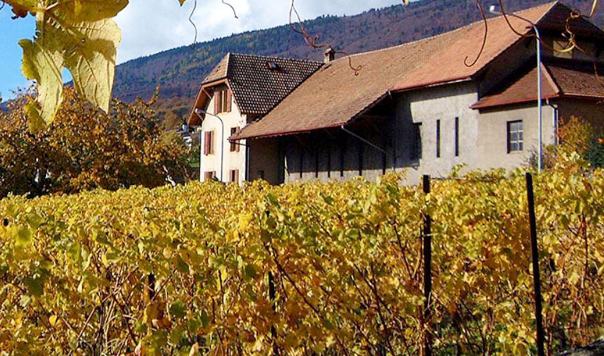 Engel Dimitri Vins Engel Dimitri Vins