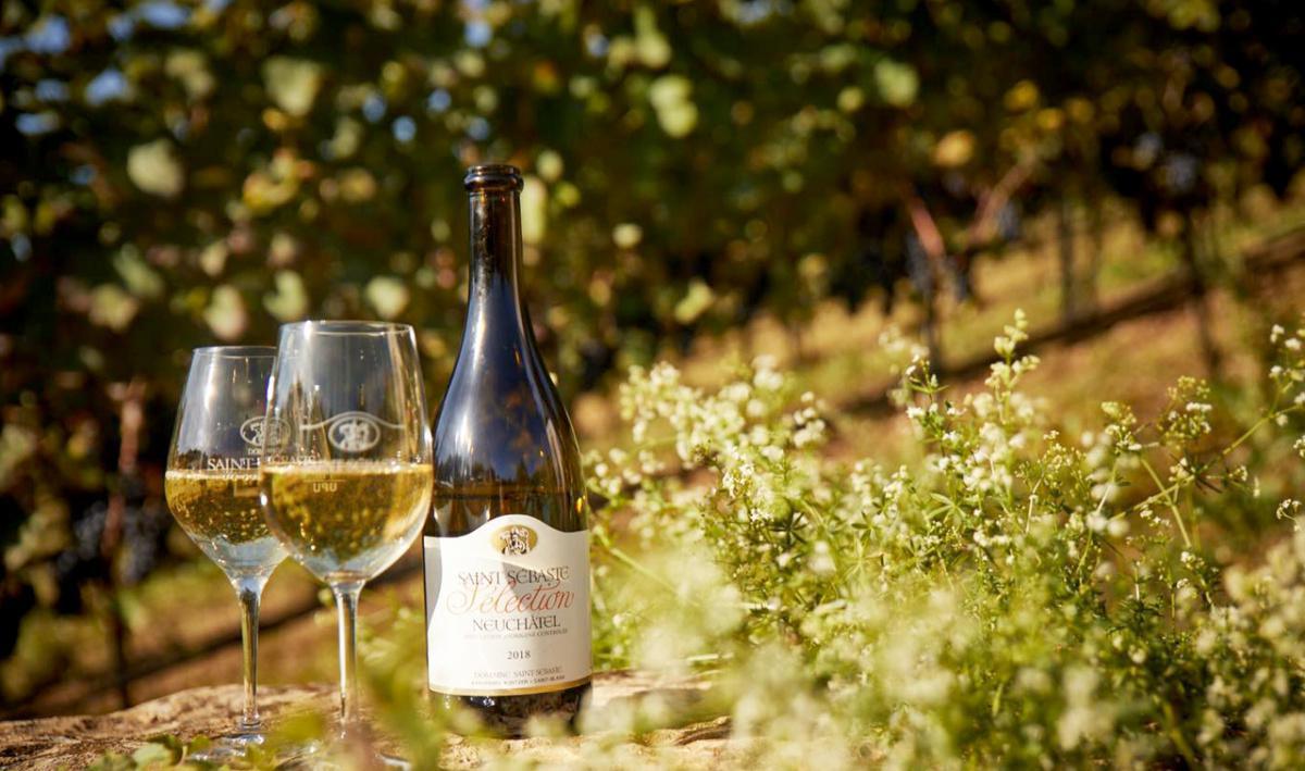 Domaine Saint-Sébaste Domaine Saint-Sébaste