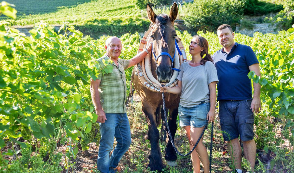 Domaine Dussex Domaine Dussex