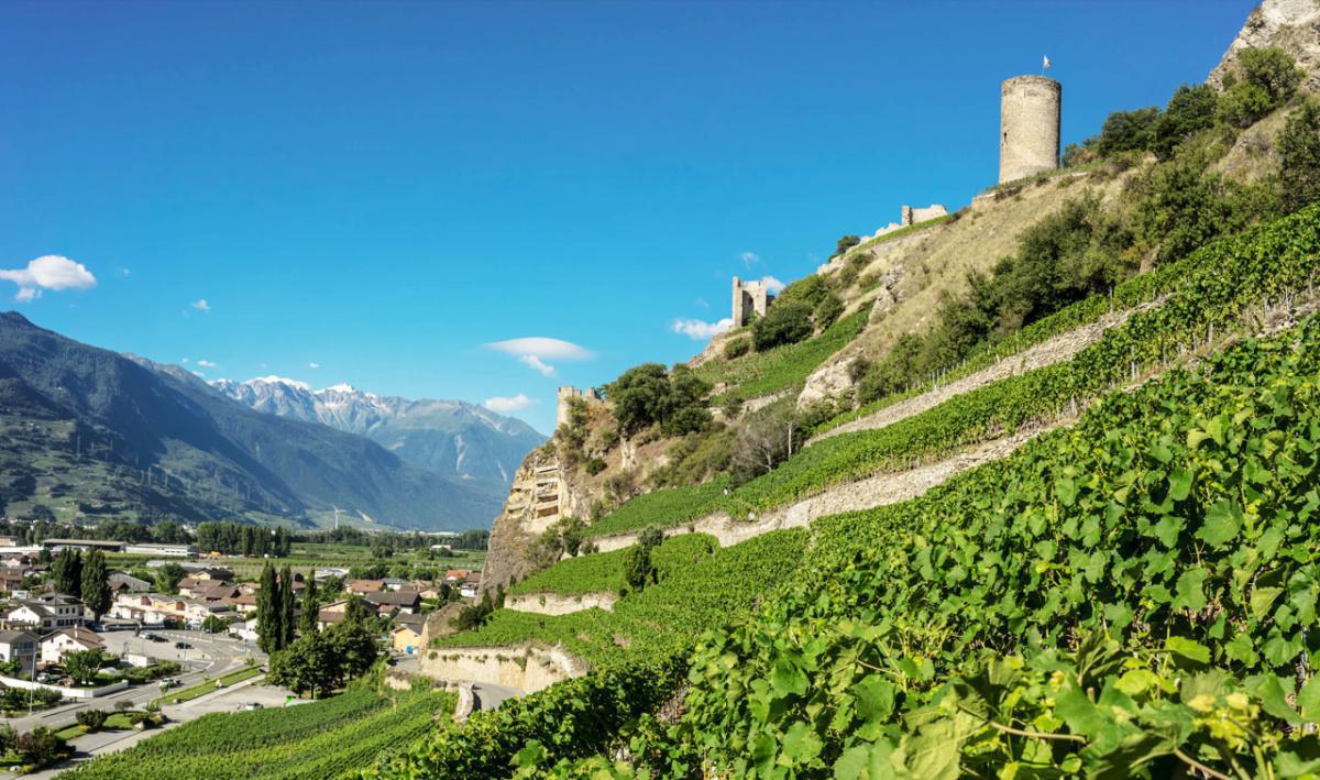 Domaine Dussex Domaine Dussex