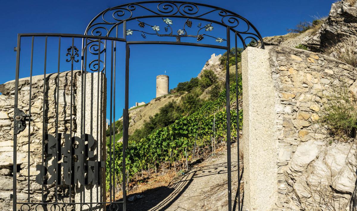 Domaine Dussex Domaine Dussex